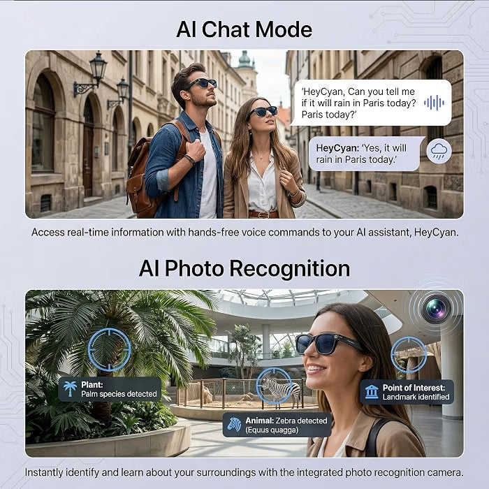 AI Smart Glasses